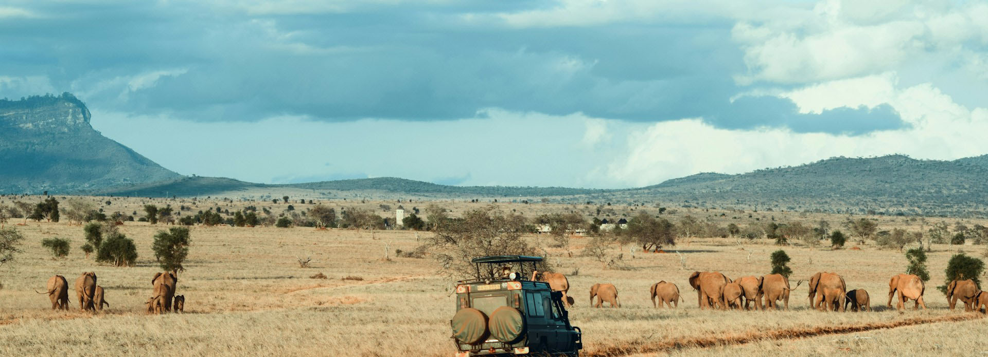 Safari jeep with lion at sunset