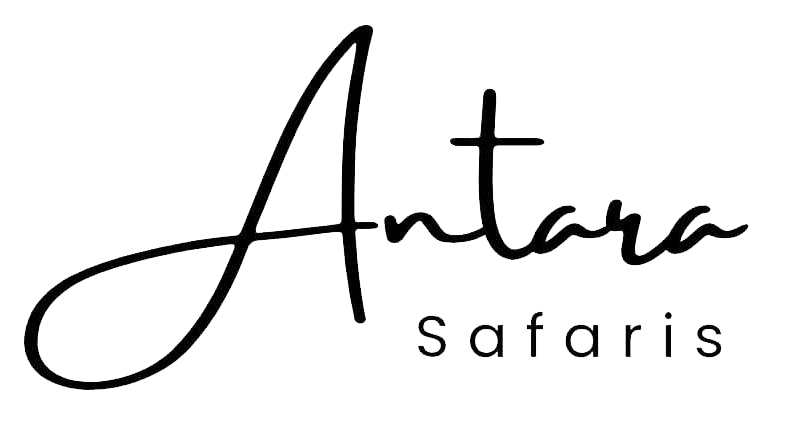 Antara Safaris