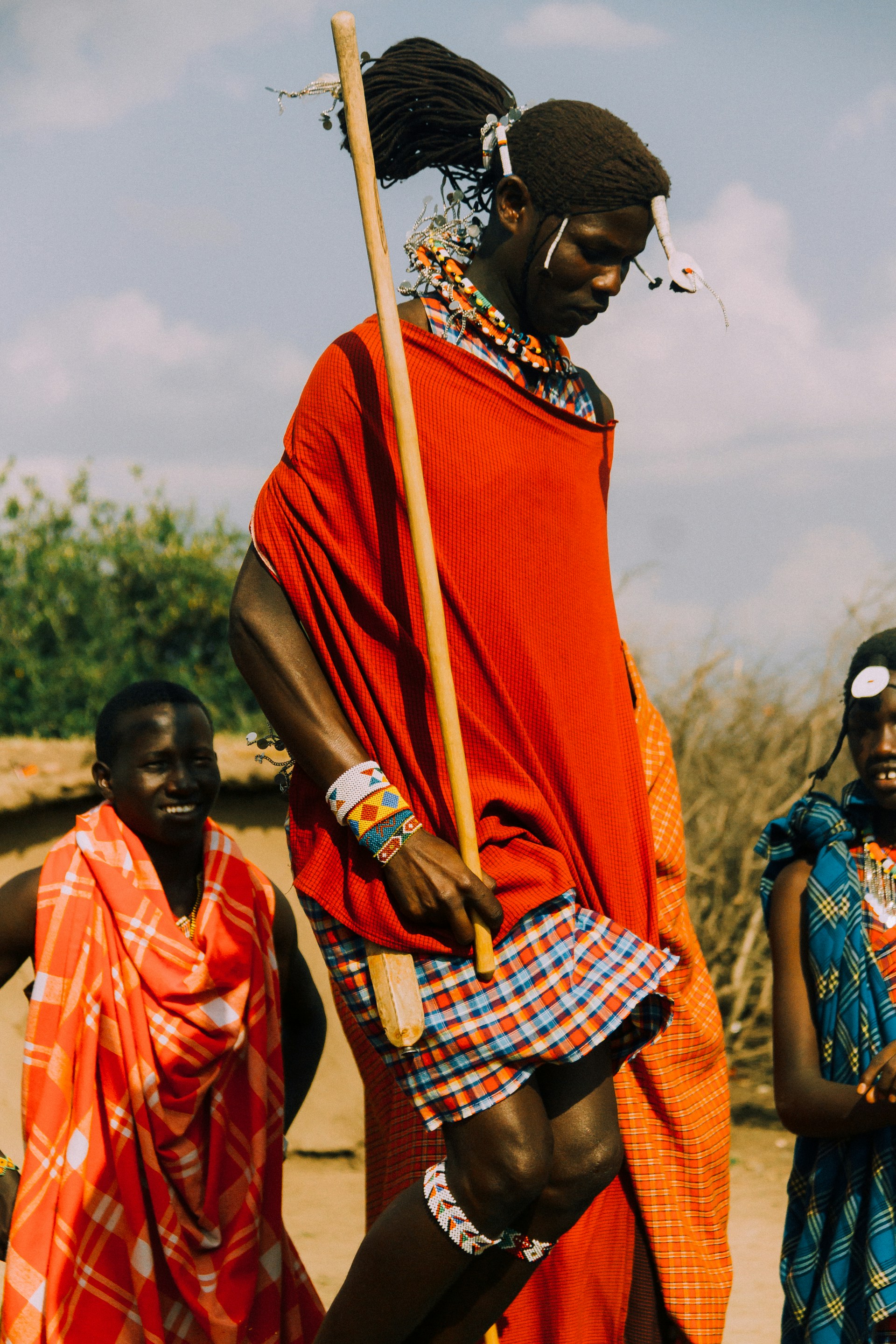 Gazelles beneath acacia trees — cultural safari