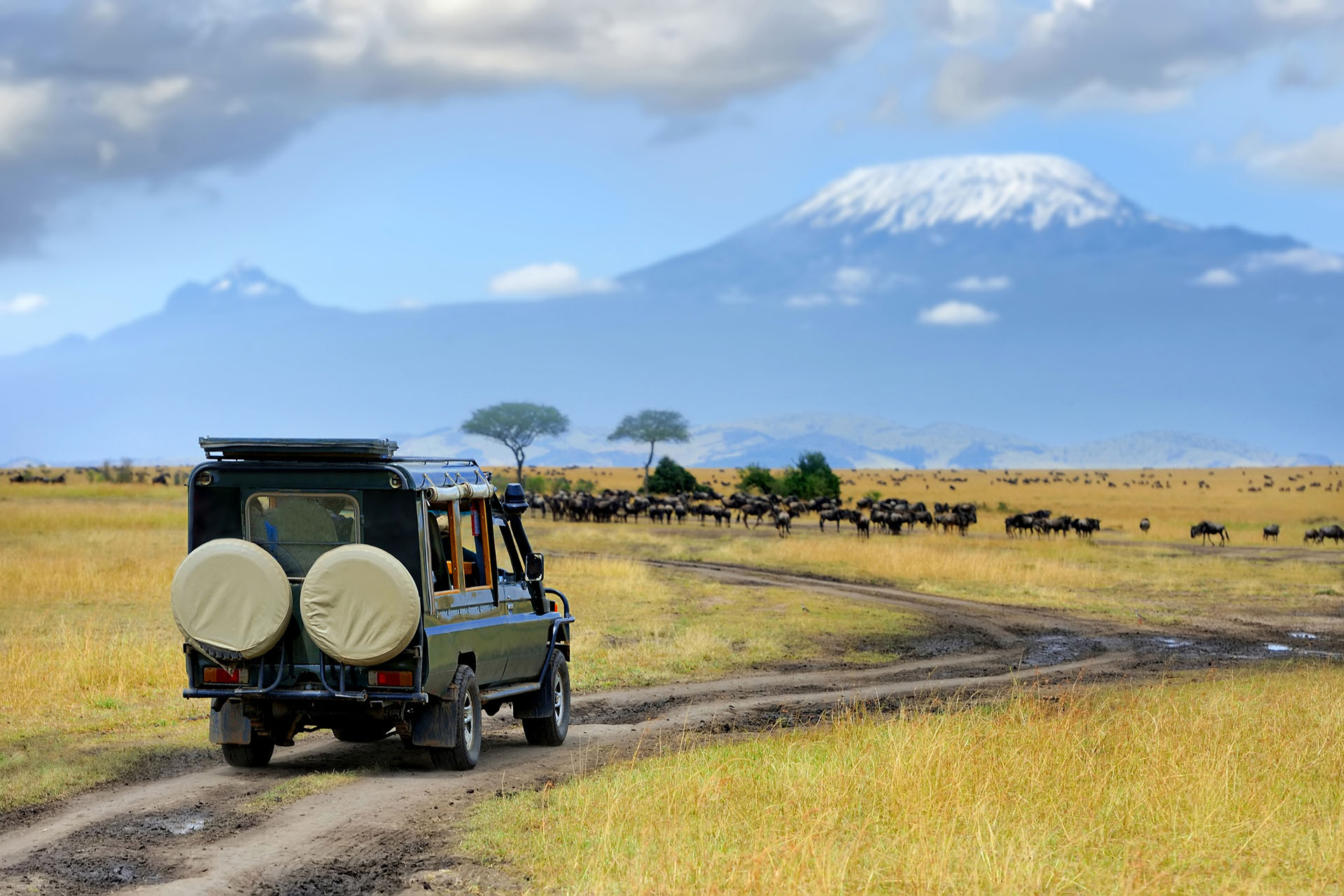 Safari vehicle at sunset on the East African savanna